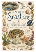 At the Seashore: Early Years Printable Activity Pack 🐚