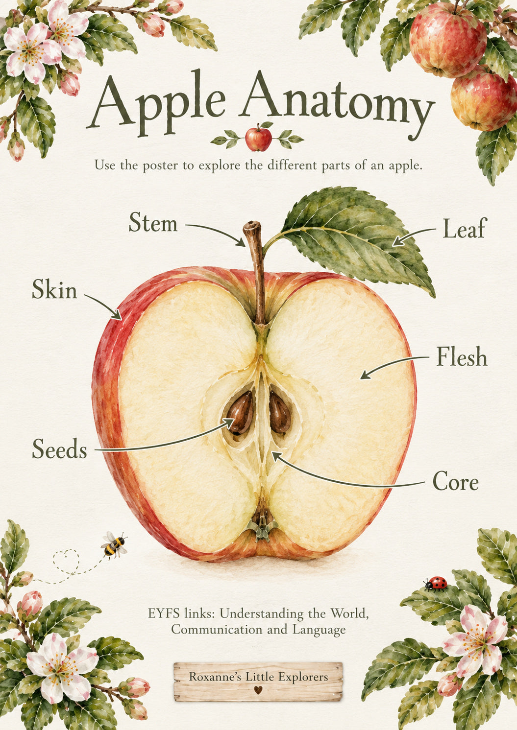 🍎✨  Apples & Orchard Adventures – EYFS Mini Printable Pack