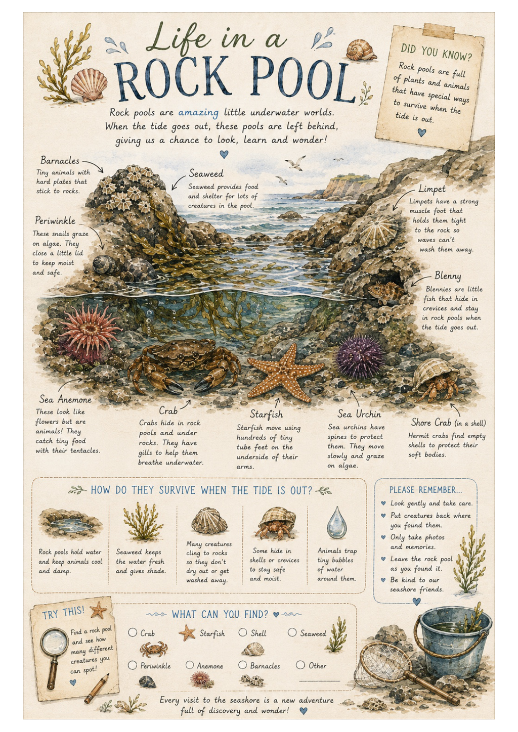 At the Seashore: Early Years Printable Activity Pack 🐚