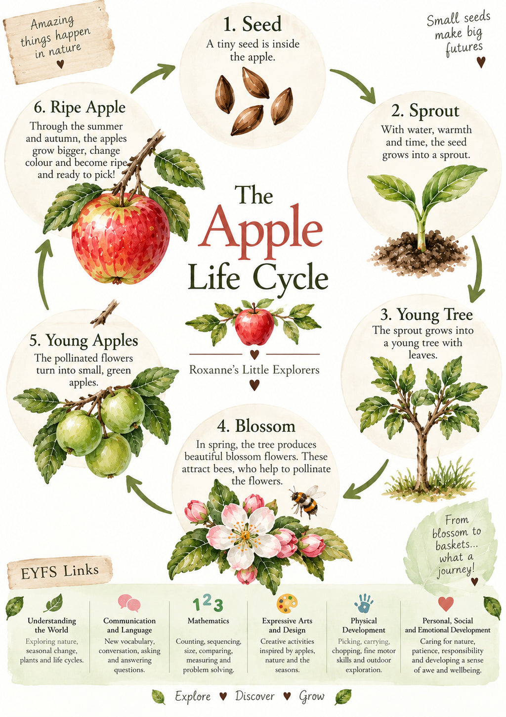 🍎✨  Apples & Orchard Adventures – EYFS Mini Printable Pack