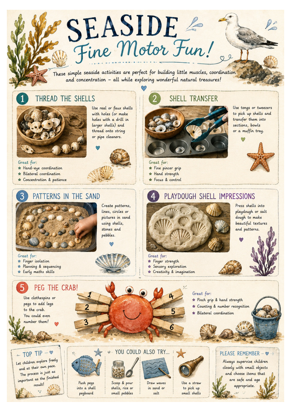 At the Seashore: Early Years Printable Activity Pack 🐚