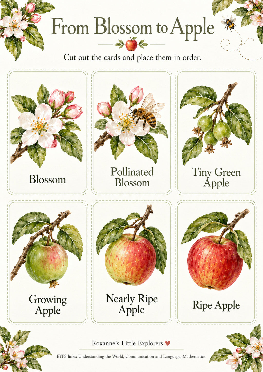 🍎✨  Apples & Orchard Adventures – EYFS Mini Printable Pack