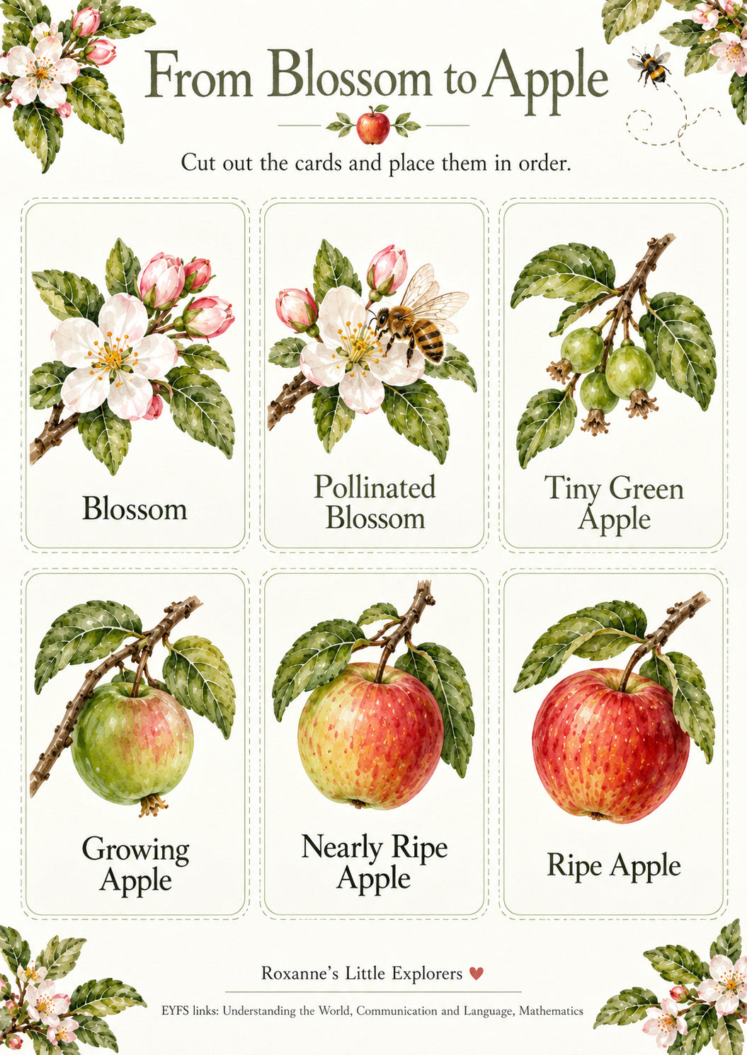 🍎✨  Apples & Orchard Adventures – EYFS Mini Printable Pack