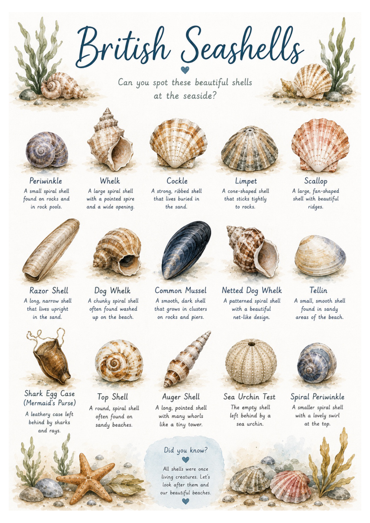 At the Seashore: Early Years Printable Activity Pack 🐚