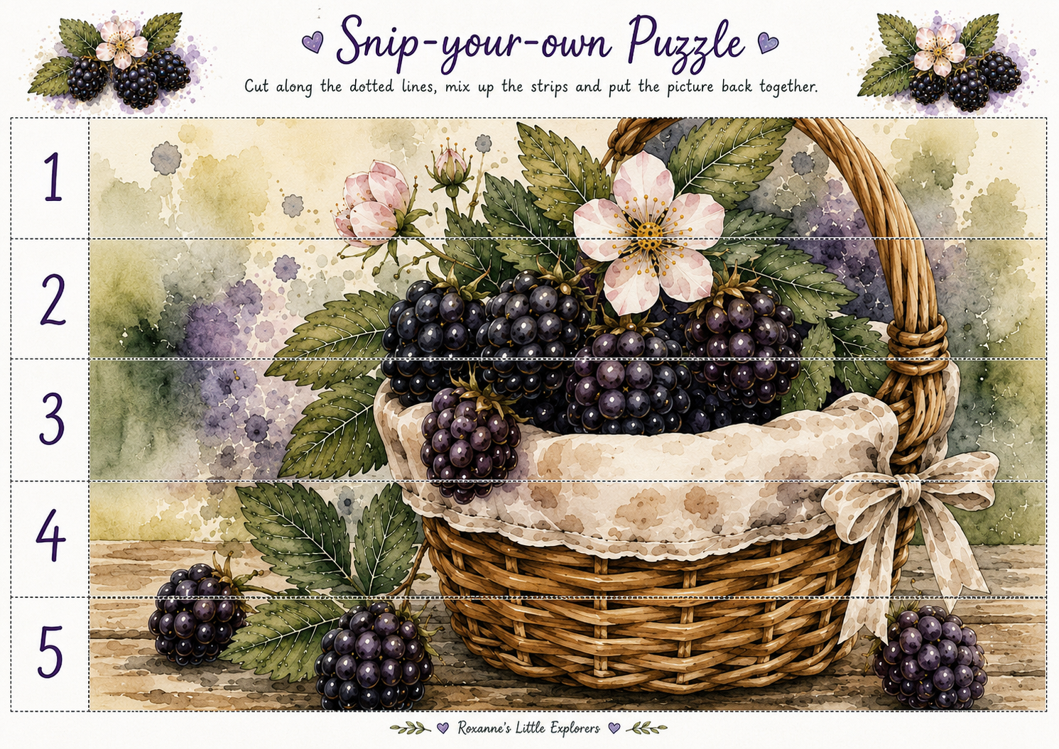 🫐🌿Blackberry Explorers EYFS Printable Pack | Hedgerow, Foraging, Maths, Literacy & Nature Activities