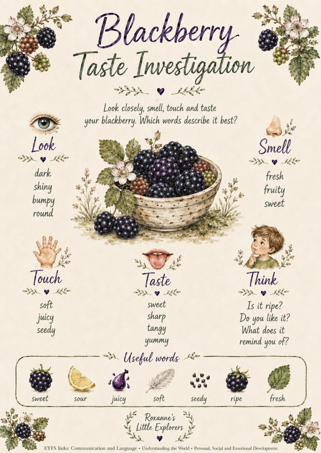 🫐🌿Blackberry Explorers EYFS Printable Pack | Hedgerow, Foraging, Maths, Literacy & Nature Activities