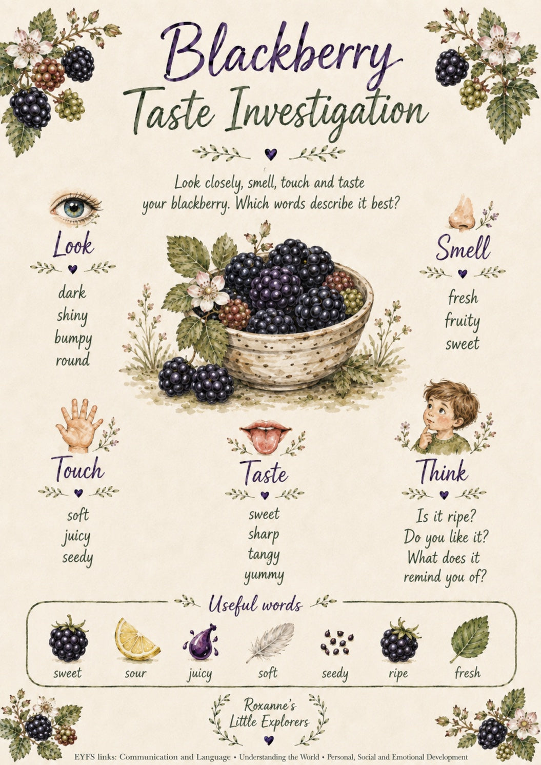🫐🌿Blackberry Explorers EYFS Printable Pack | Hedgerow, Foraging, Maths, Literacy & Nature Activities