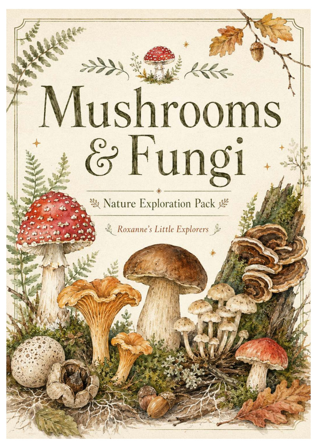 Mushrooms & Fungi Nature Exploration Printable Pack | EYFS Woodland Activities