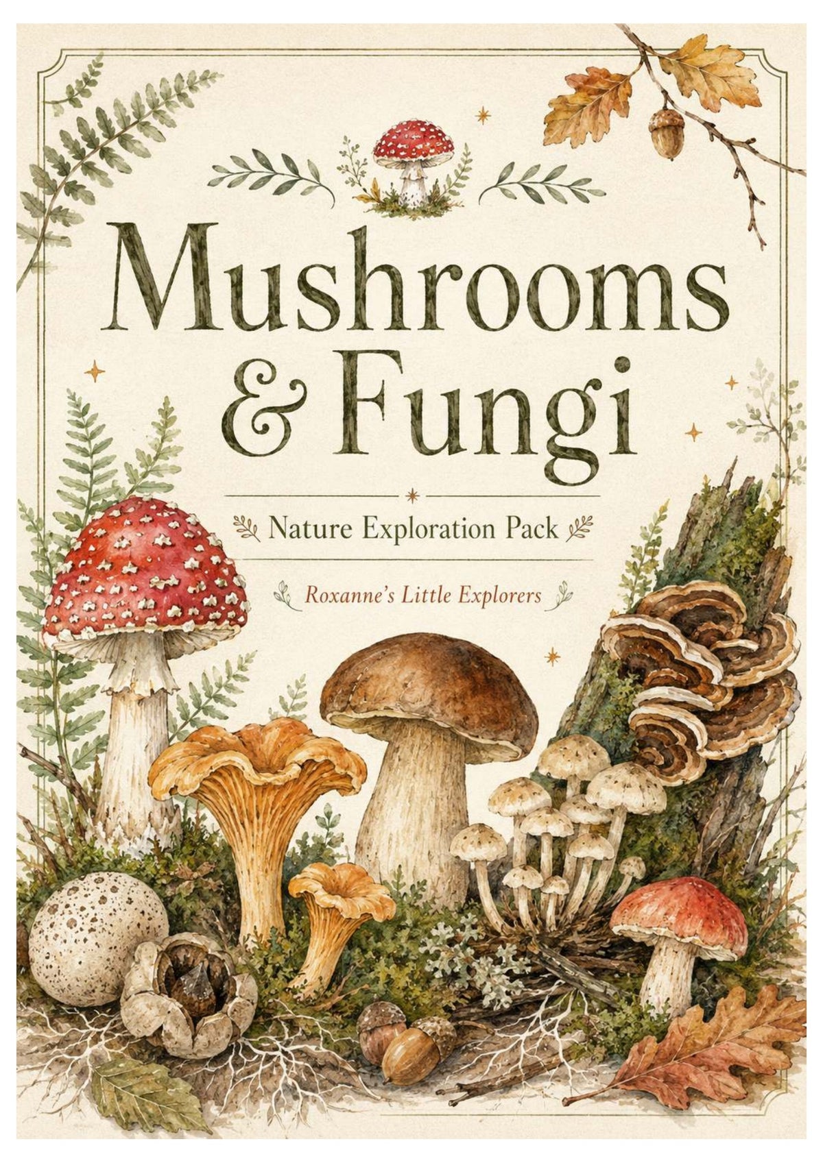 Mushrooms & Fungi Nature Exploration Printable Pack | EYFS Woodland Activities