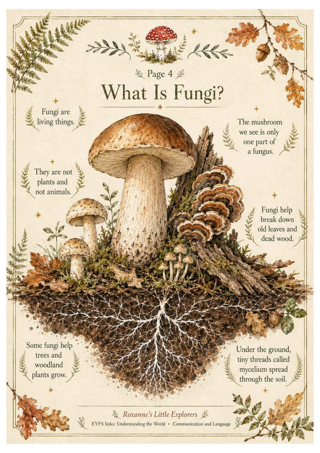 Mushrooms & Fungi Nature Exploration Printable Pack | EYFS Woodland Activities