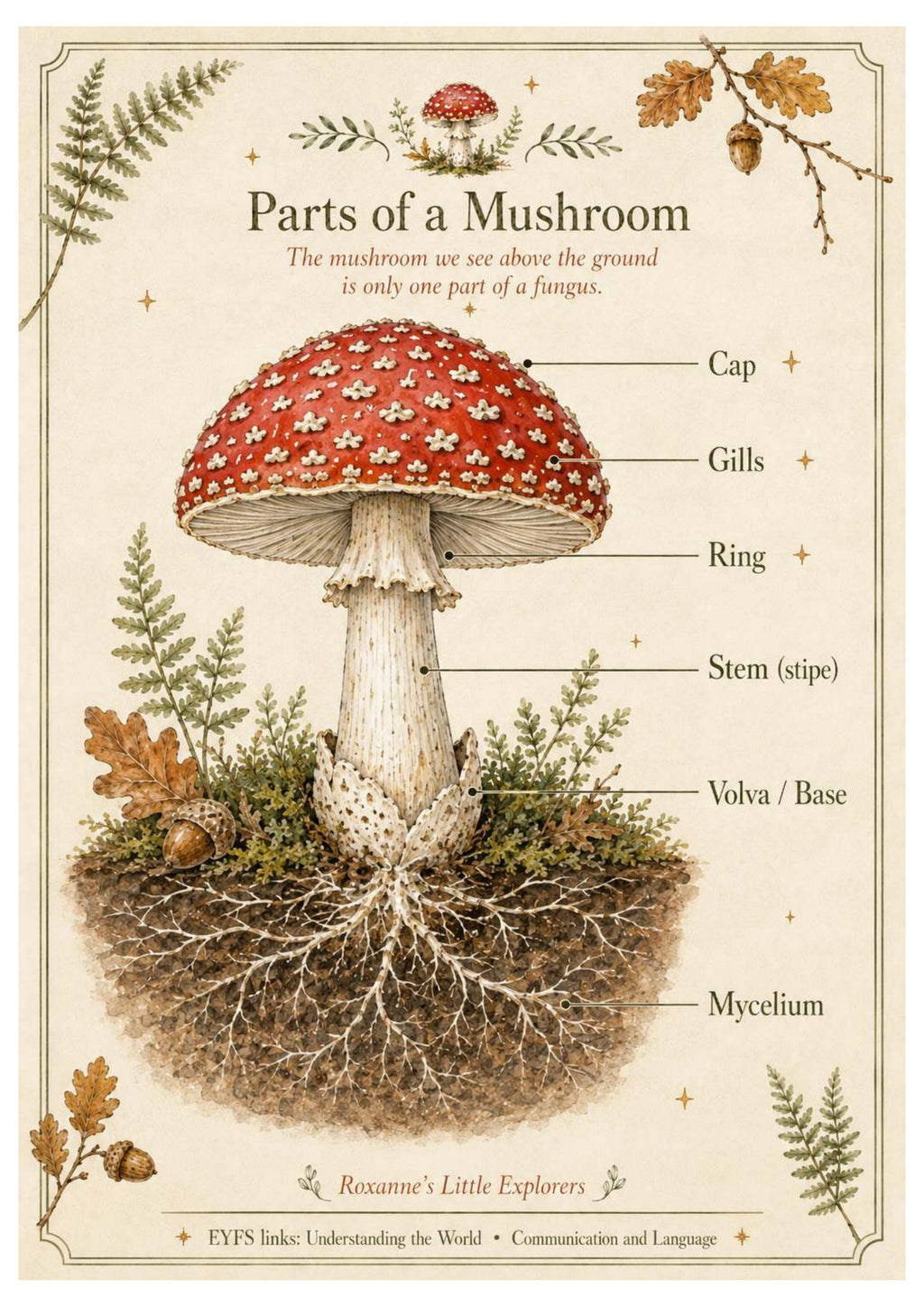 Mushrooms & Fungi Nature Exploration Printable Pack | EYFS Woodland Activities