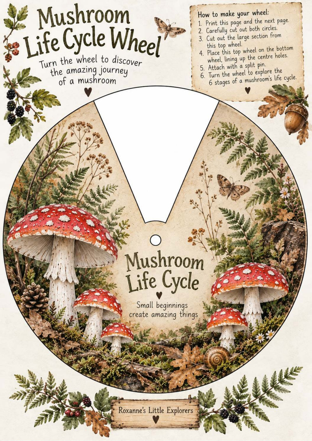 Mushrooms & Fungi Nature Exploration Printable Pack | EYFS Woodland Activities