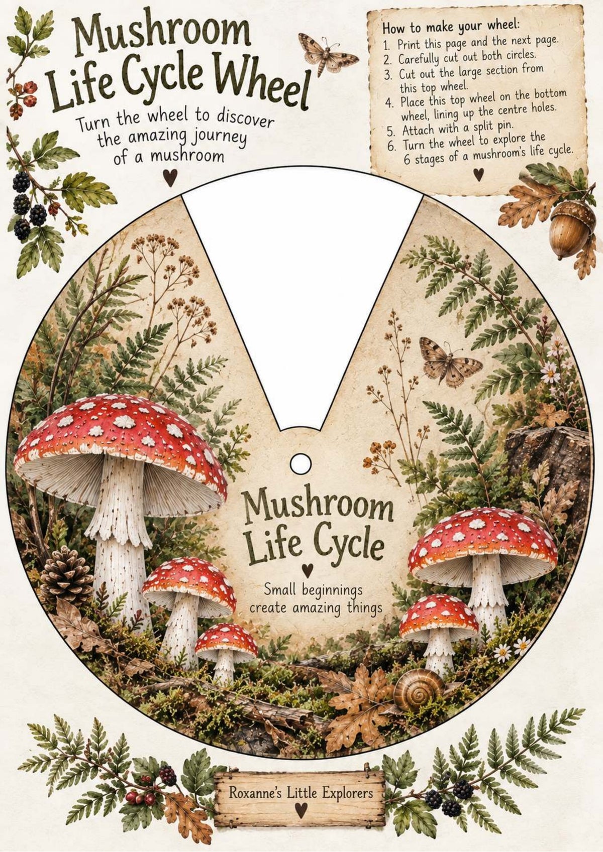 Mushrooms & Fungi Nature Exploration Printable Pack | EYFS Woodland Activities