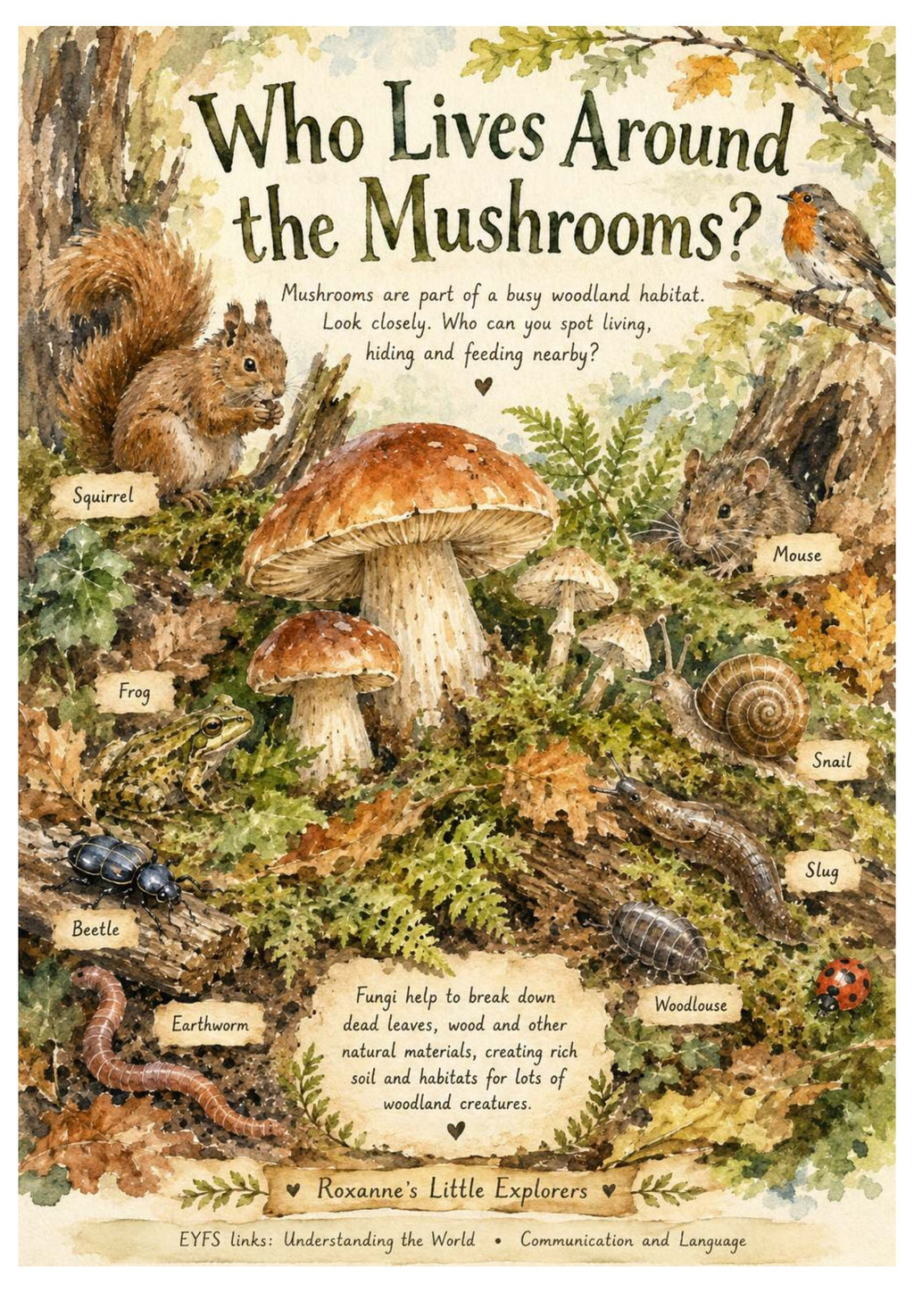 Mushrooms & Fungi Nature Exploration Printable Pack | EYFS Woodland Activities