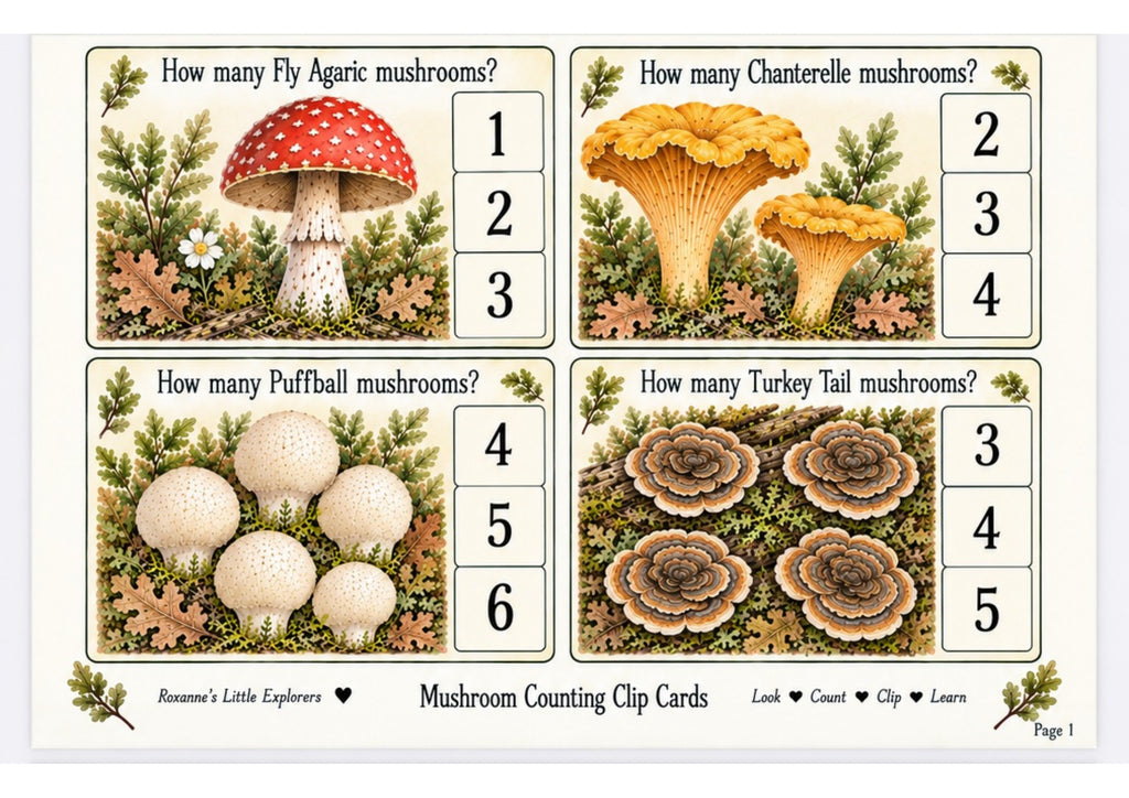 Mushrooms & Fungi Nature Exploration Printable Pack | EYFS Woodland Activities