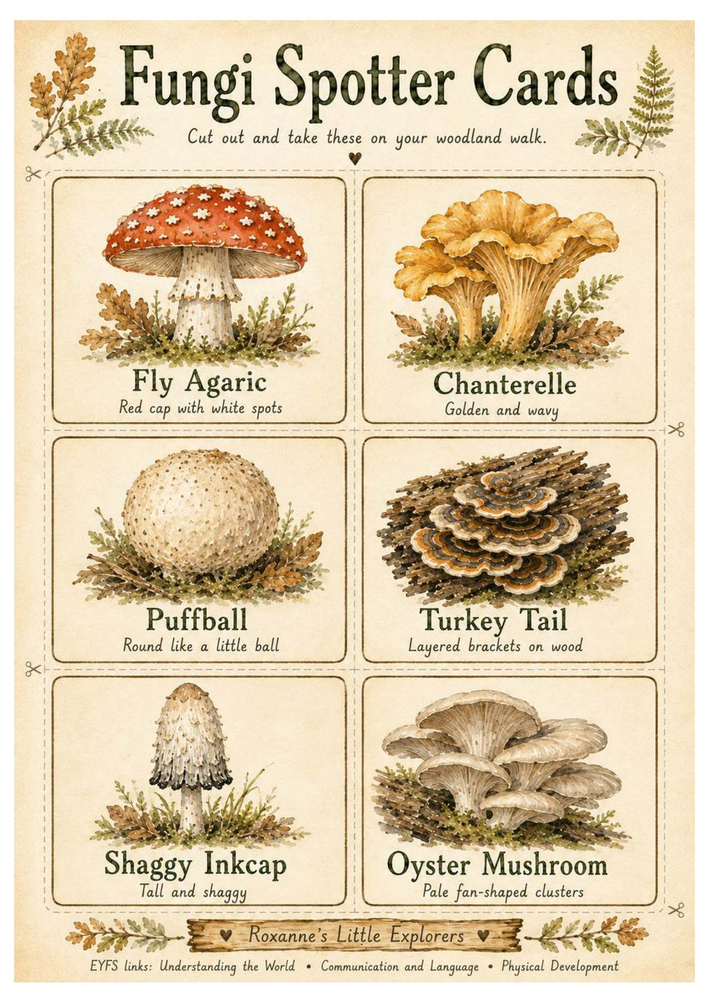 Mushrooms & Fungi Nature Exploration Printable Pack | EYFS Woodland Activities