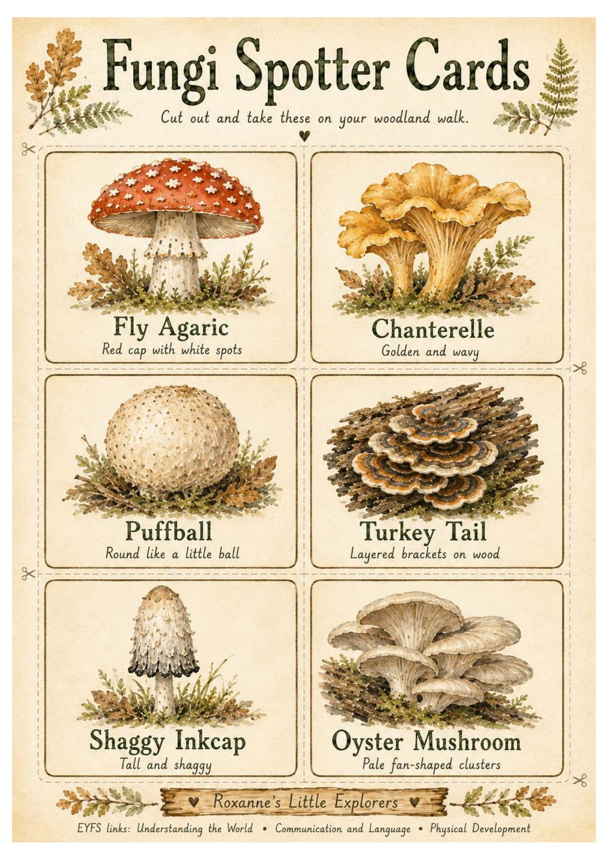 Mushrooms & Fungi Nature Exploration Printable Pack | EYFS Woodland Activities