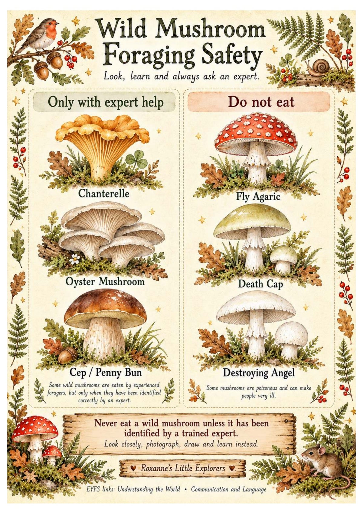 Mushrooms & Fungi Nature Exploration Printable Pack | EYFS Woodland Activities