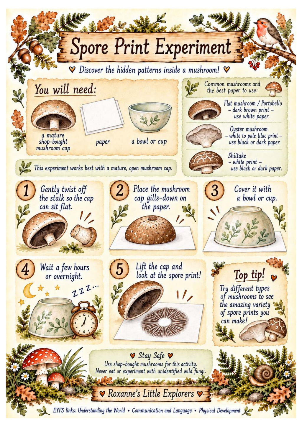 Mushrooms & Fungi Nature Exploration Printable Pack | EYFS Woodland Activities