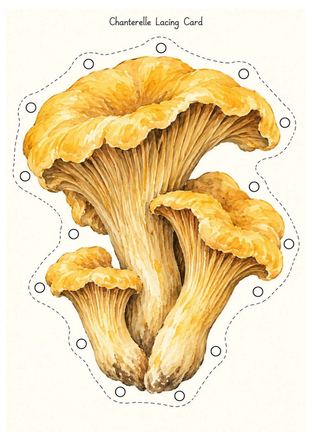 Mushrooms & Fungi Nature Exploration Printable Pack | EYFS Woodland Activities