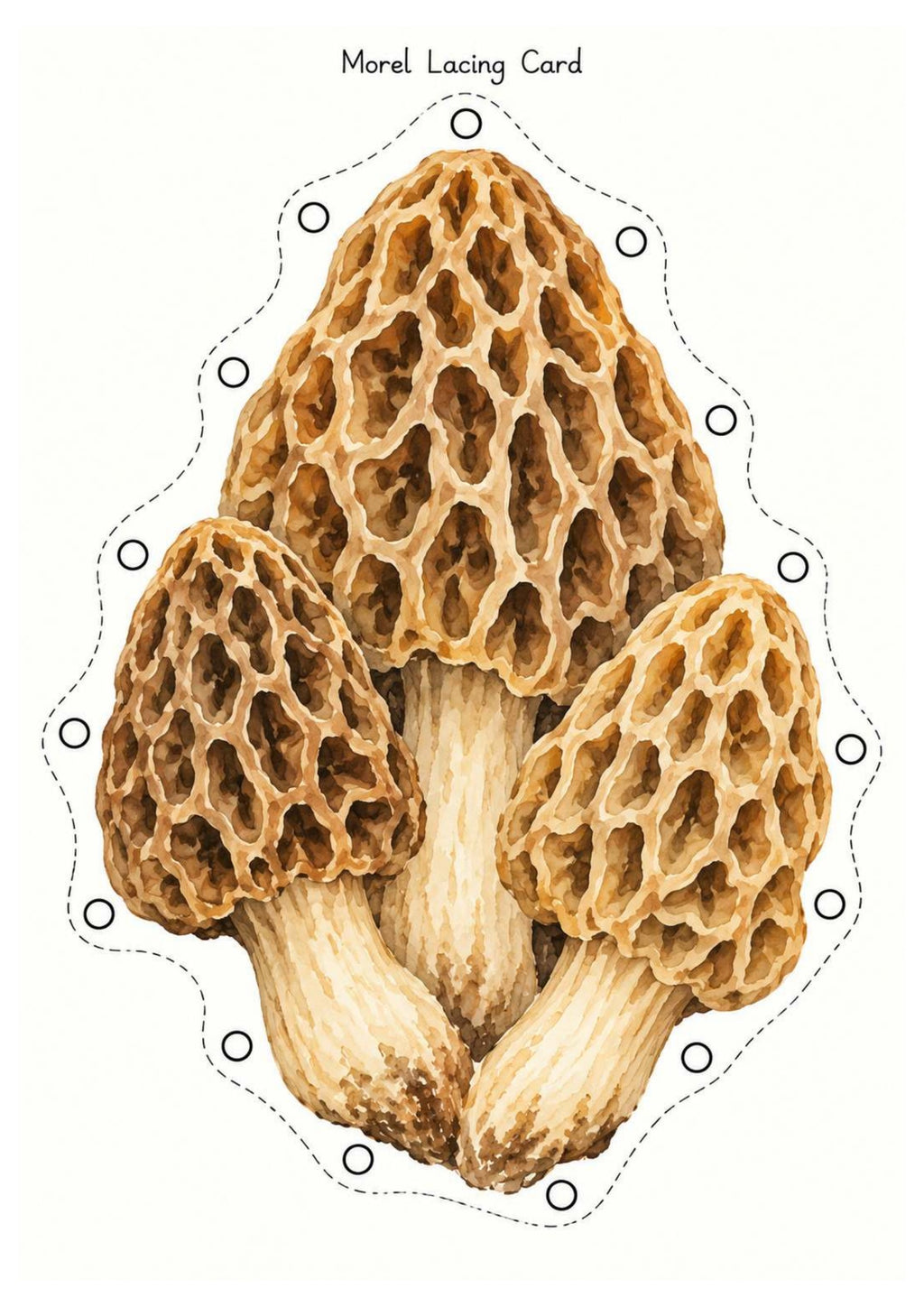 Mushrooms & Fungi Nature Exploration Printable Pack | EYFS Woodland Activities