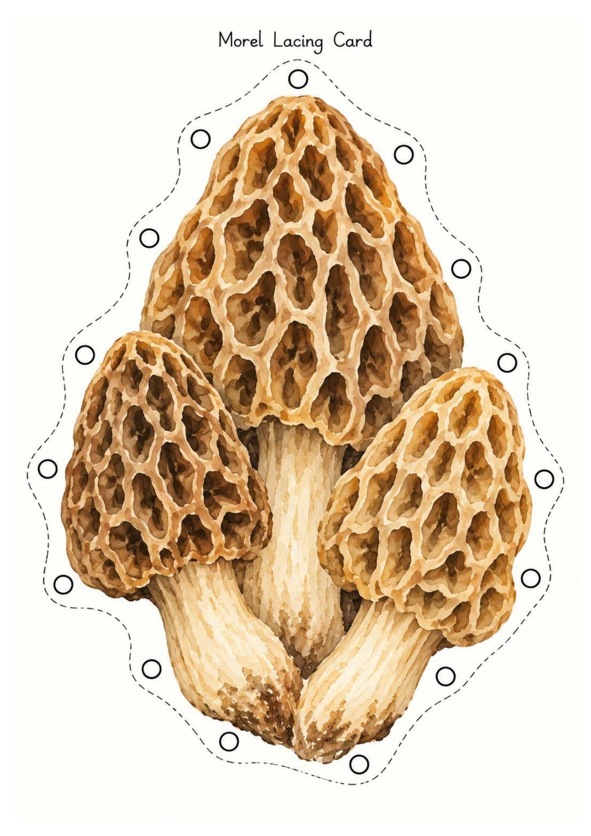 Mushrooms & Fungi Nature Exploration Printable Pack | EYFS Woodland Activities