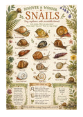 Discover & Wonder: Snails | EYFS Nature & Play Printable Pack 🌿🐌