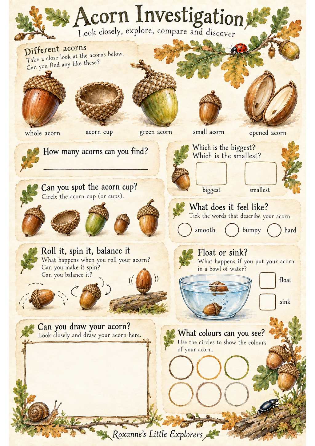 The Oak Tree Mini Printable Pack | Nature Activities, EYFS Learning & Woodland Play